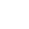 Litigation
